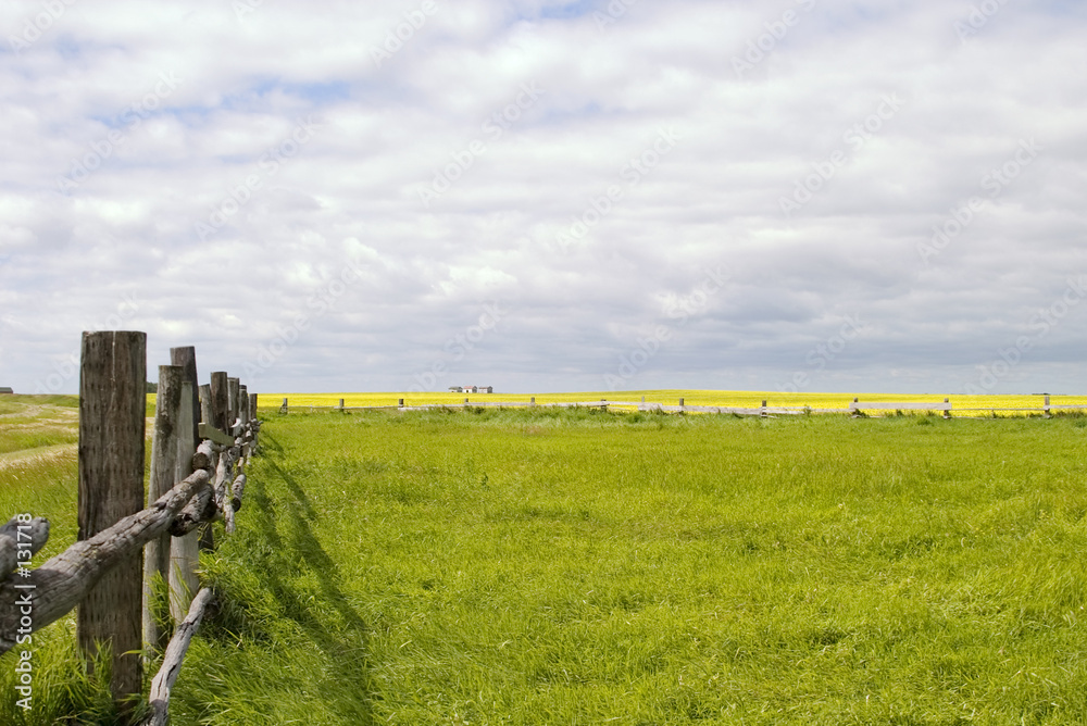 Fotografie prairie landscape - fence line