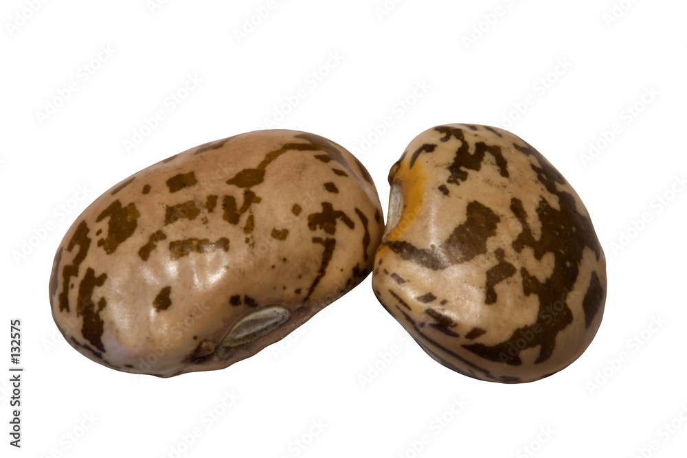 pinto beans pinto beans