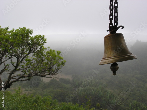 cloche indienne photo
