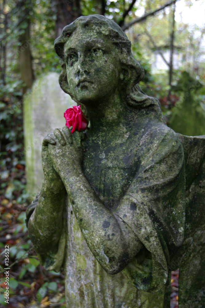 stone angel with rose