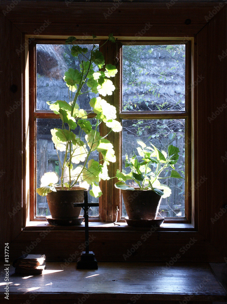 window window