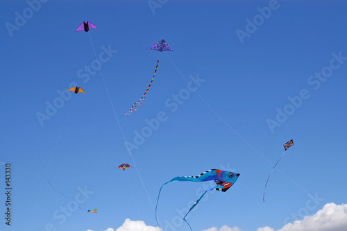 kites 6761