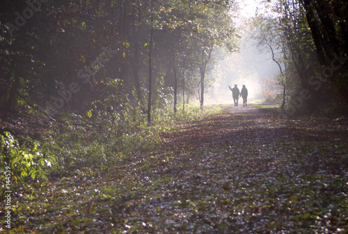 walk in the woods