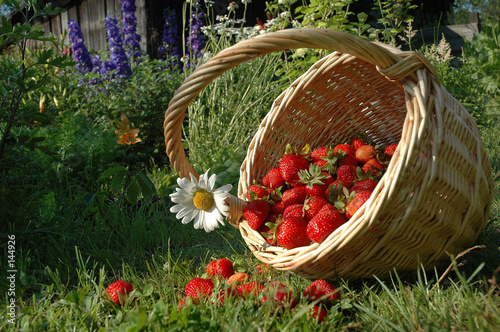 the basket with strawberries.