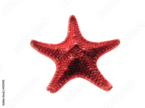 red starfish