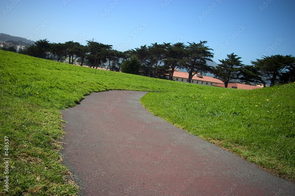 grass path #1