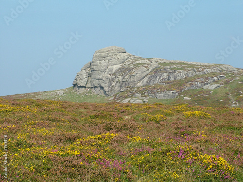 haytor, devon, england photo