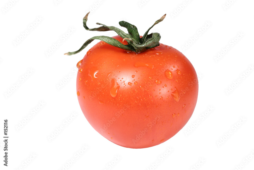 custom made wallpaper toronto digitaltomato