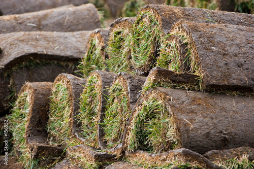 construction 28 grass