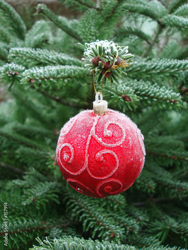 red christmas ball hanging on a christmas tree