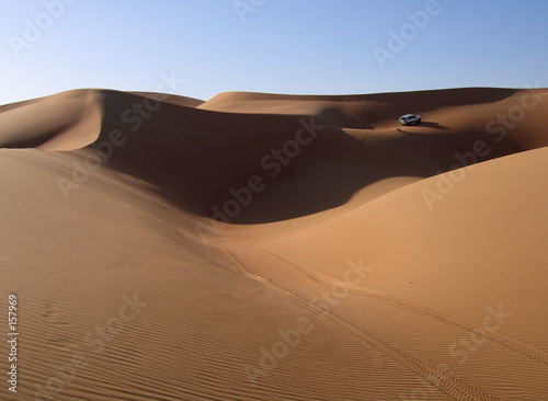 alone in the dunes