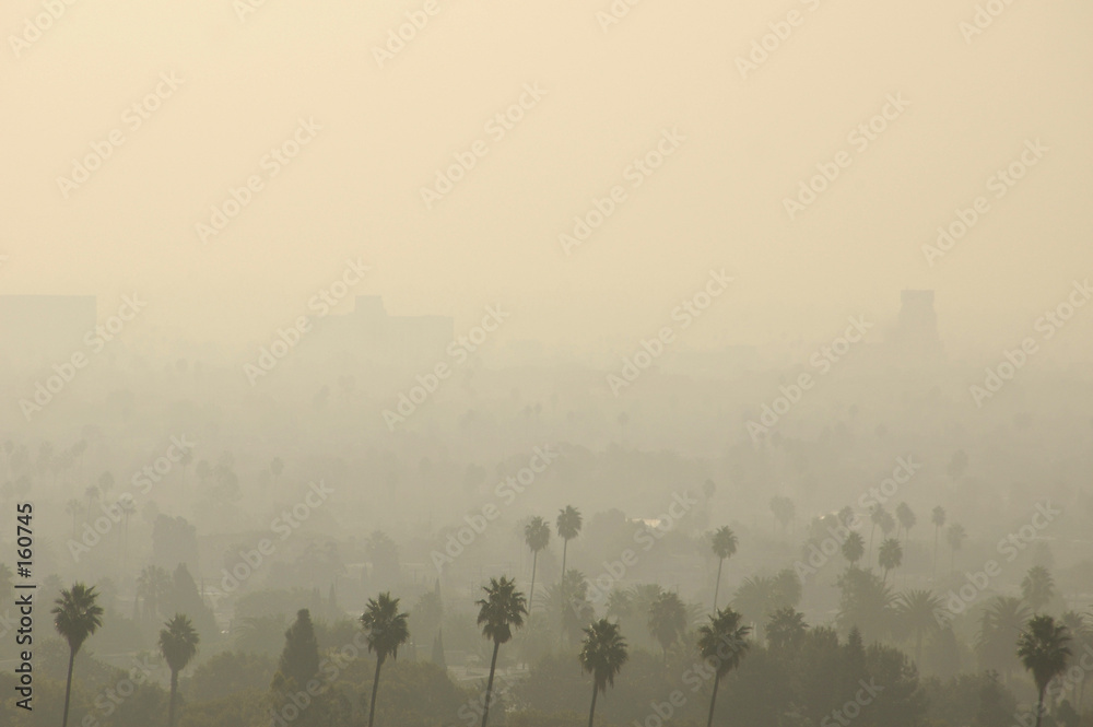 Fotografia los angeles smog