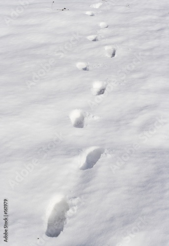 pisadas en la nieve