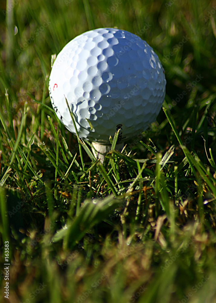 close-up golf ball