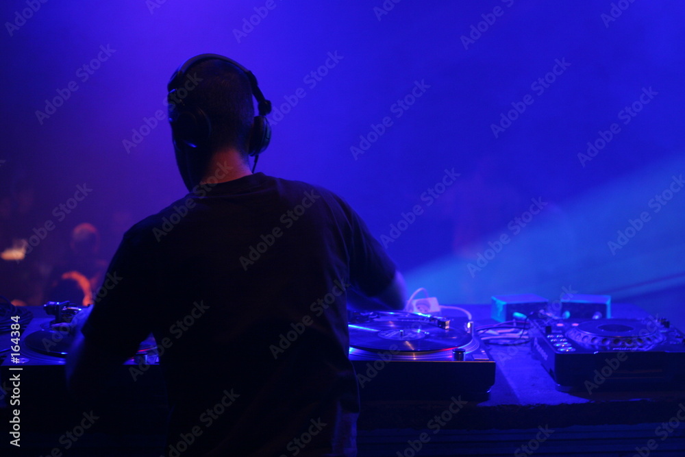 Obraz na plátně dj en action