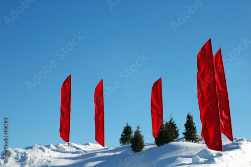 flags photo