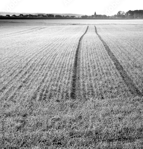 field