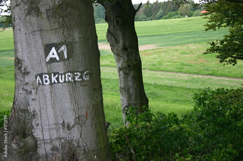 a1 abkürzung