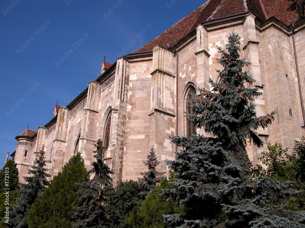 Naklejka premium cathedral