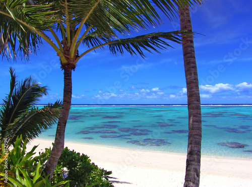 rarotonga lagoon