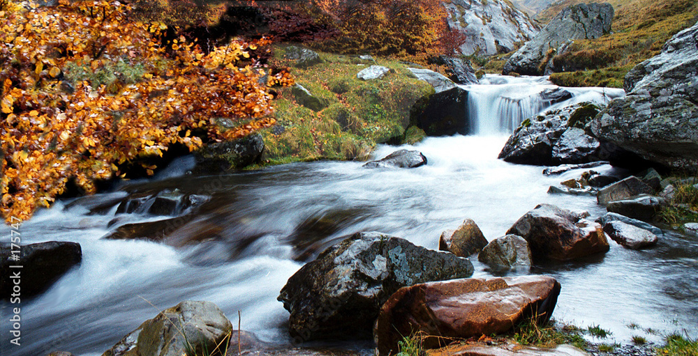 rivière d'automne