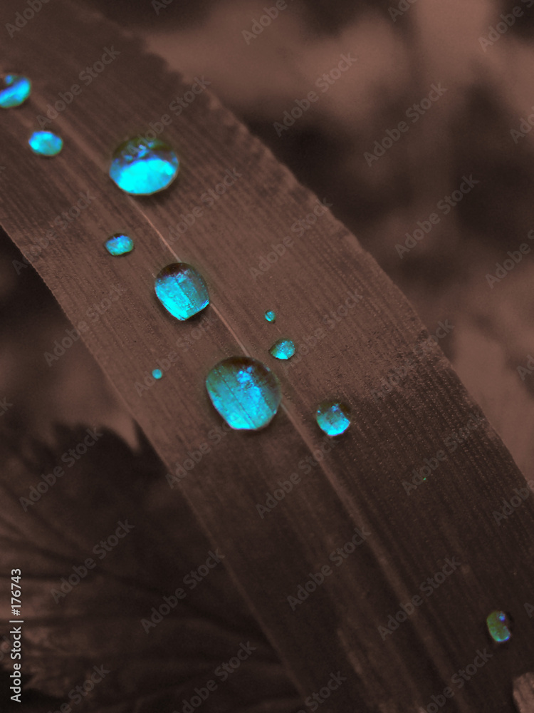 drops blue drops