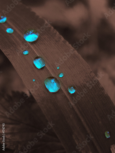 Obraz na płótnie drops blue drops w salonie