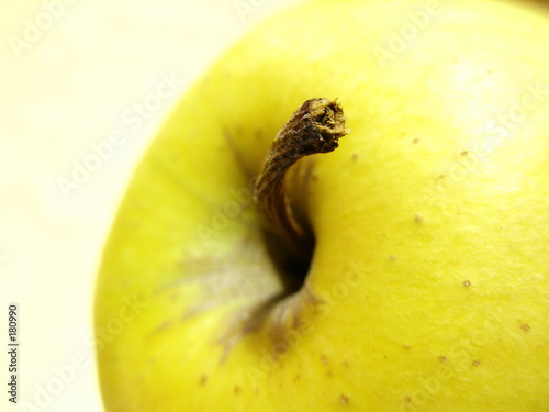 pomme photo