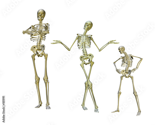 funny skeletons