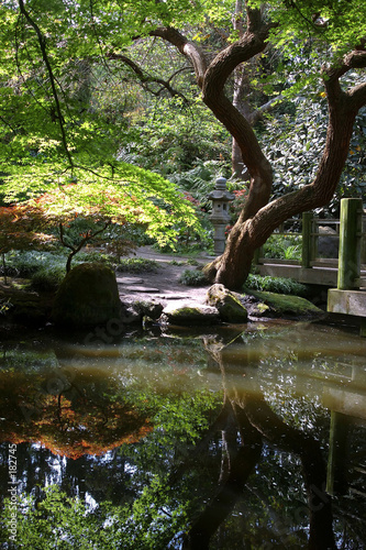 san francisco botanical garden