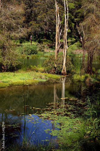 san francisco botanical garden
