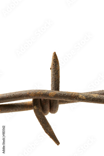 barbed wire macro over white