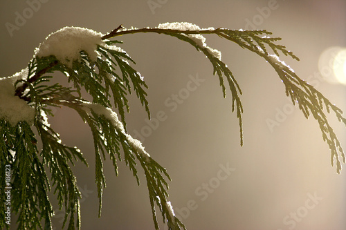 winterstimmung