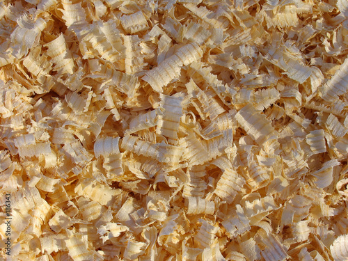 shavings photo