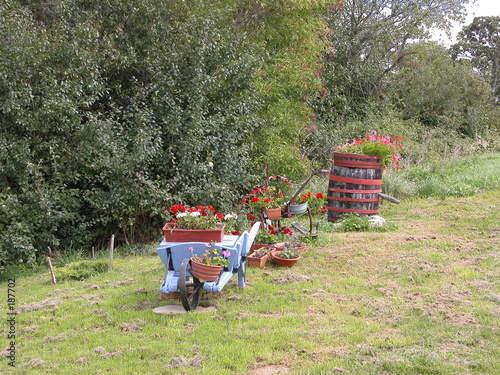 la brouette fleuri