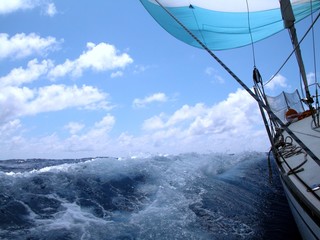 Fotobehang Zeilen Zeilboot glijdt mee met wind  © João Freitas