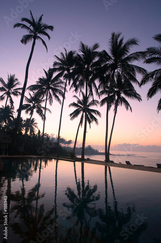 coconut trees at sunrise © Creativa Images