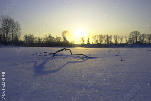 winter sun photo