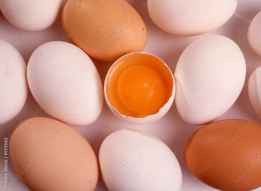 eier eier