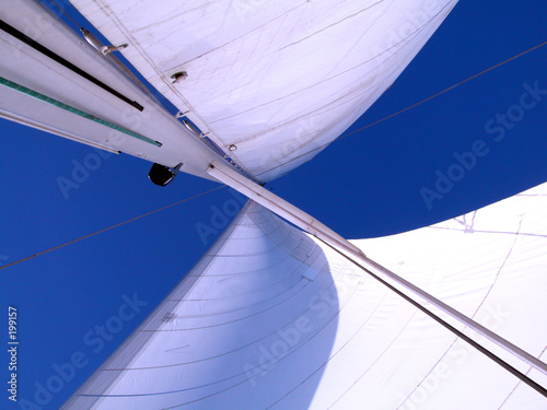 Fototapeta sails with wind