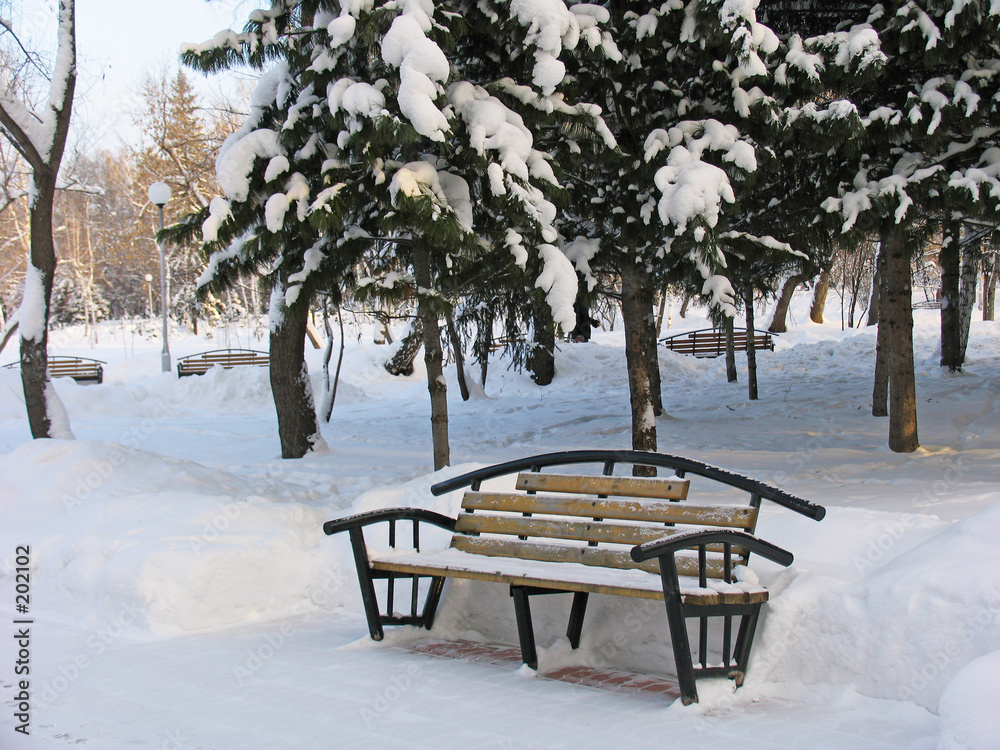 bench  under the snow