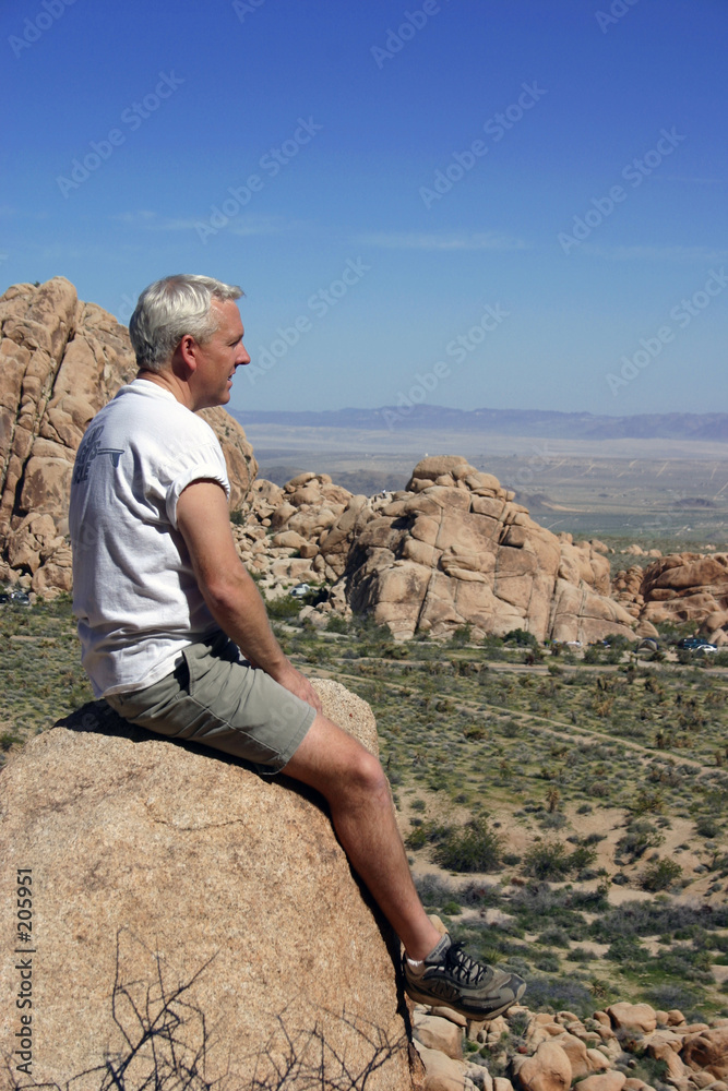 great view great view