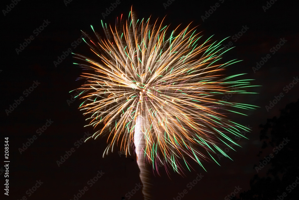 firework display firework display