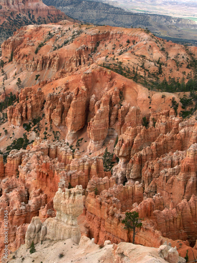 inside bryce canyon