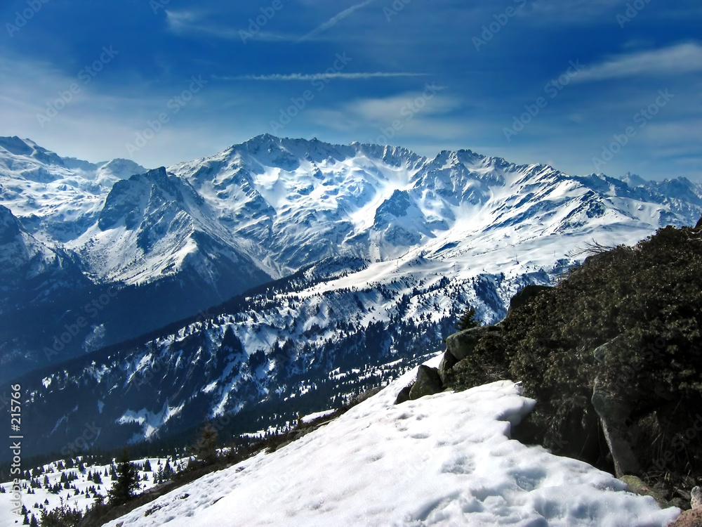 alpine view