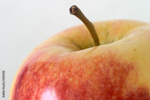 apple macro
