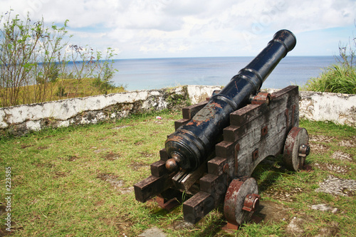 cannon facing ocean