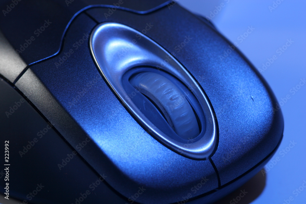 the mouse the mouse