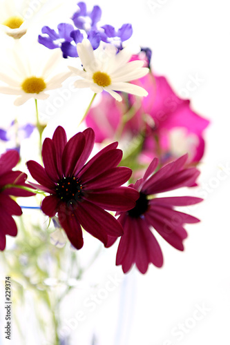 flowers2