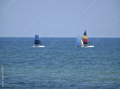 sail boats